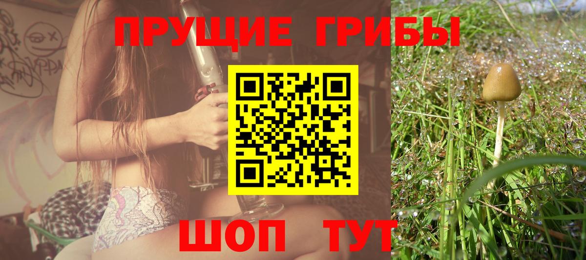 Псилоцибиновые грибы мицелий  Галлюциногенные грибы GOLDEN TEACHER  Вход с VPN  Нижний Новгород 